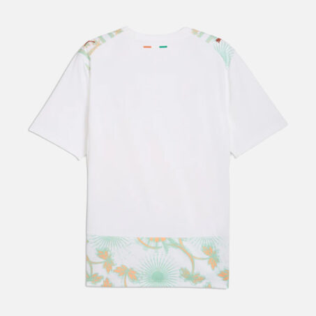 Ivory Coast International Away Jersey 2026